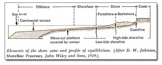 Elements of shore zone